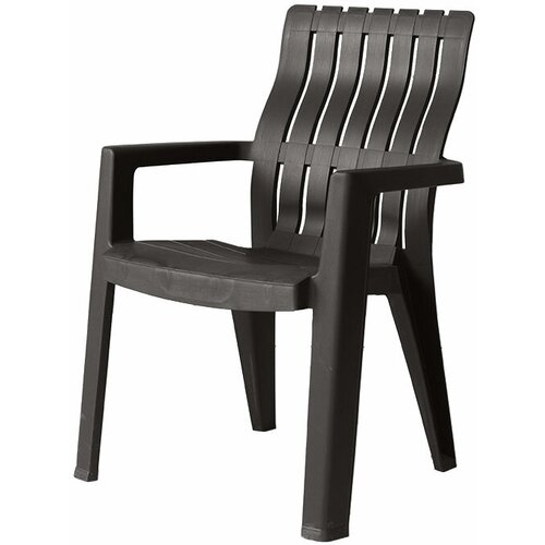 B: Rattan ���� b: rattan Chicago, �����, ����, ������ ������ �� 3646 ���