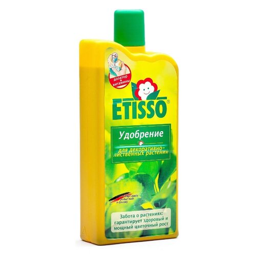 ETISSO ()    - ,    , 1000  () 969