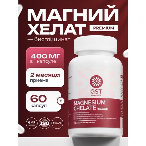 ������ ����� GST 60 ������, ����, ������ ������ �� 1300 ���