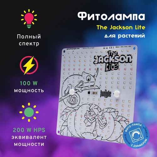 LED  The Jackson 100W Lite  , ,    16500 