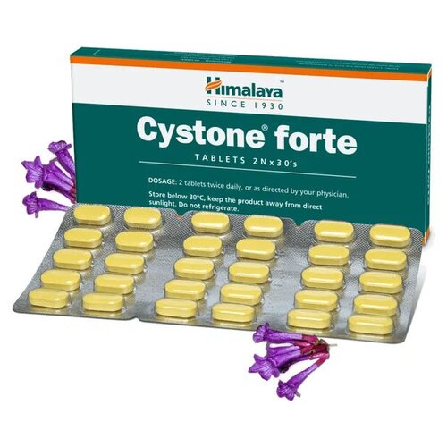    (Cystone Forte)    ,    , 60 . 858