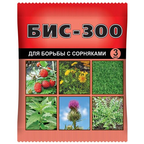���-300 �� �������� 3��, ����, ������ ������ �� 143 ���
