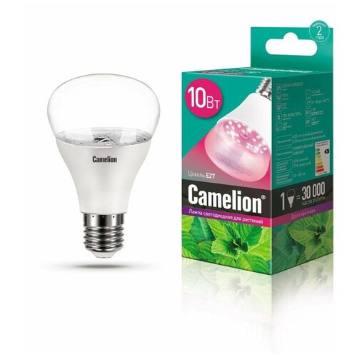     Camelion LED10-PL/BIO/E27 10 220 13241 15788882, ,    1165 