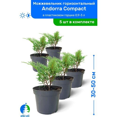   Andorra Compact ( ) 30-50     0,9-3 , ,   ,   5 , ,    9750 