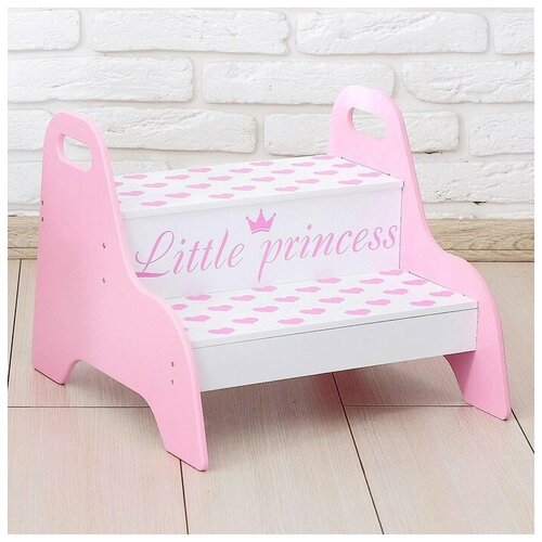     Little princess 2690