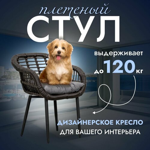 ������� ������ ������ 1 ��, ����, ������ ������ �� 10990 ���