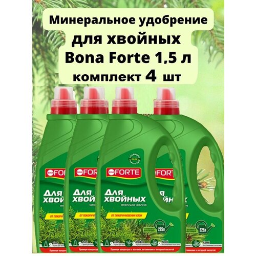      Bona Forte  1,5 (4 ) 2550