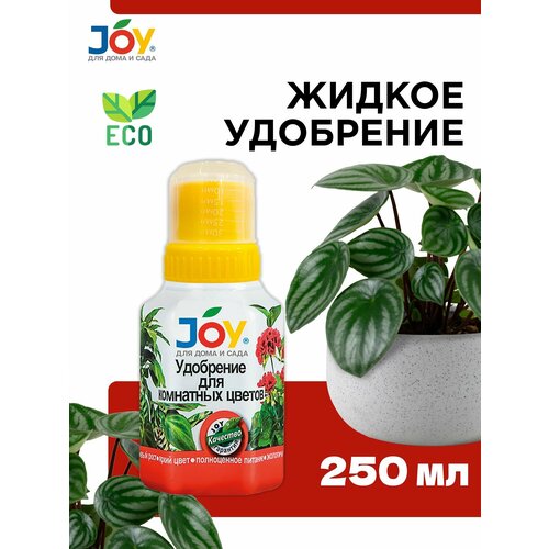       JOY, 250, ,    240 