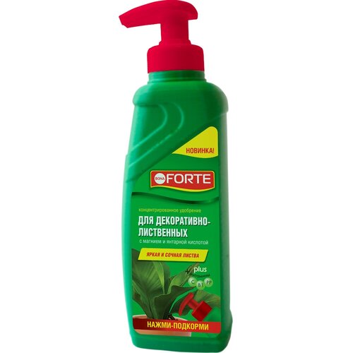   Bona Forte      285ml () BF21010221 768