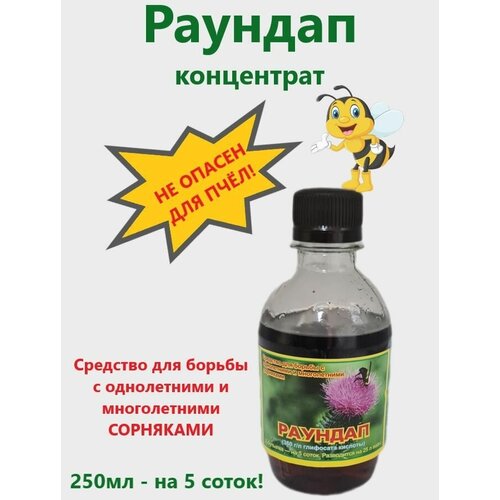 ������� ����������, ����, ������ ������ �� 1830 ���
