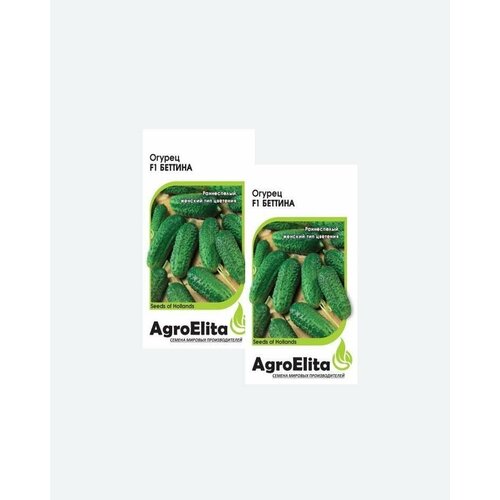    F1, 5, AgroElita, Nunhems(2 ), ,    414 