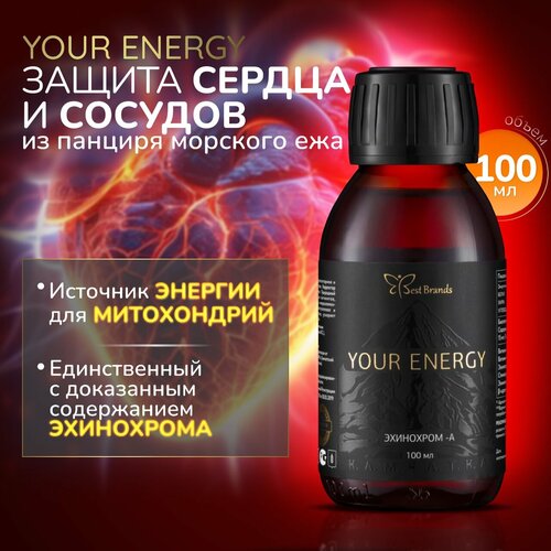   100 . (YOUR ENERGY).       ,   . 5200