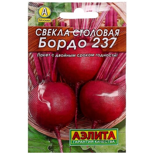 ������ �������� ����� 237, ������ ������ ( 1 ��: 3 � ), ����, ������ ������ �� 25 ���