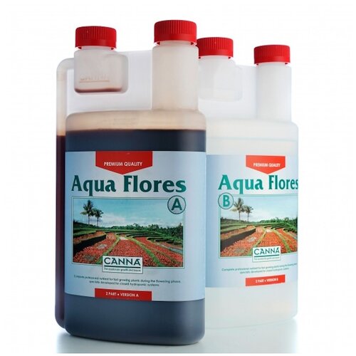  Canna Aqua Flores, 1 2600