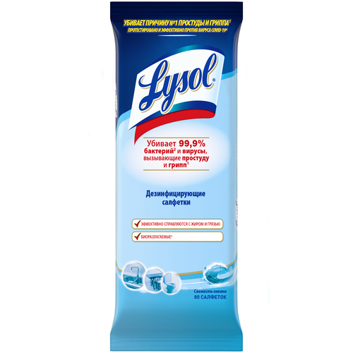 Lysol    , 80  250