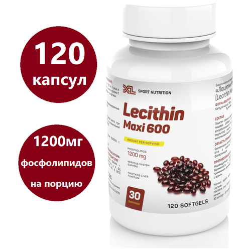   XL Lecithin Maxi, 120 ,   629