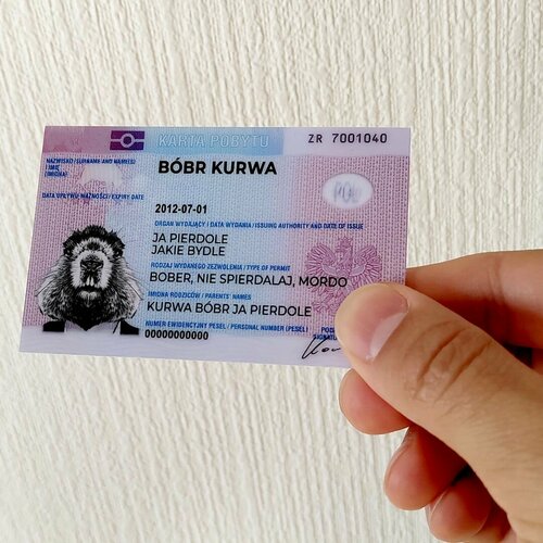   bobr kurwa (Bobr kurvva) 8656   350