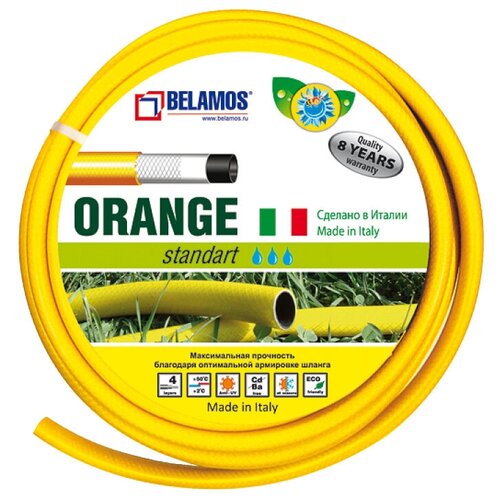  BELAMOS Orange, 3/4