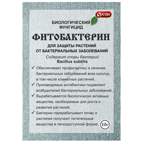 ����� ������������� �������� ������������, 10 ��, ����, ������ ������ �� 77 ���