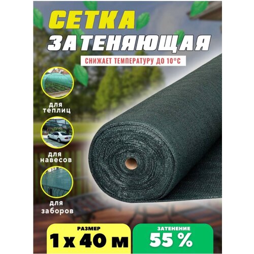 ����� ���������� �������, ��������� 55%, ������ 1�40�, ����, ������ ������ �� 1802 ���