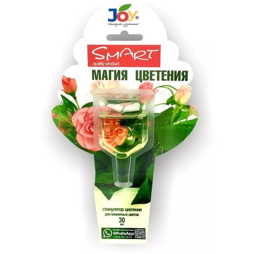 -     Joy Smart  , 30 , ,    1737 