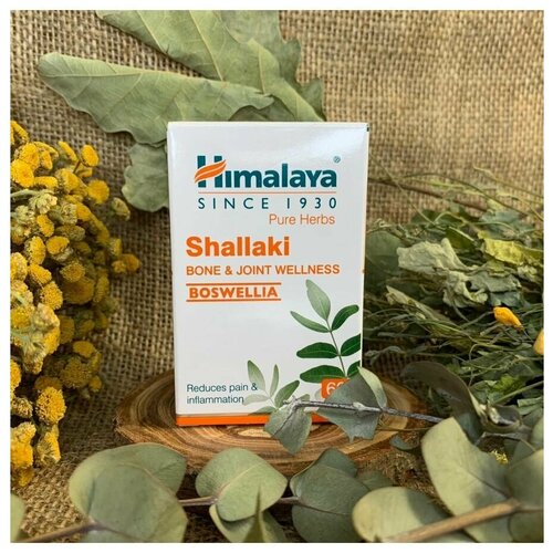 Shallaki (, ) Himalaya ()      ,    , 60 . 677