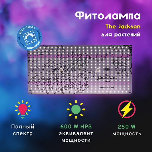 LED  The Jackson 250W  , ,    21900 