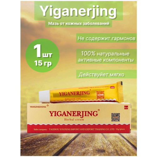  Yiganerjing 15  199