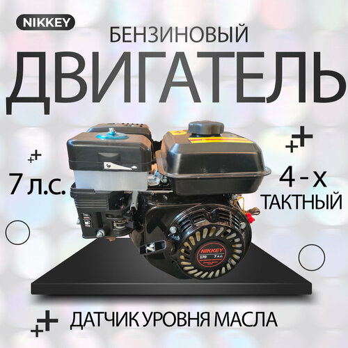   NIKKEY 7; ,  20,   50      10000