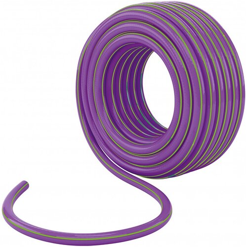    Palisad Violet, 3 , 3/4', 25 ,  3899