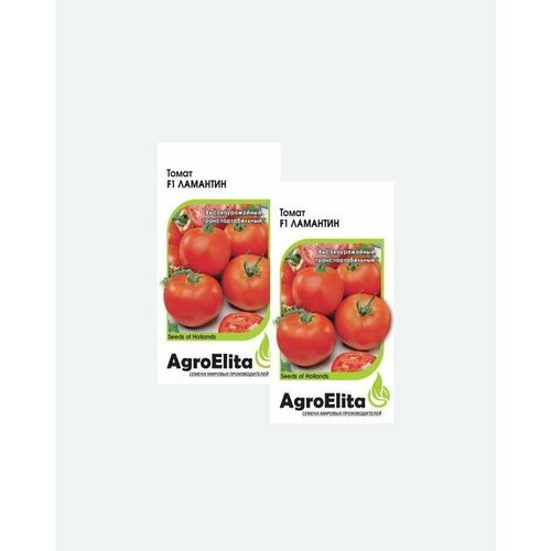    F1, 5, AgroElita, Nunhems(2 ) 364