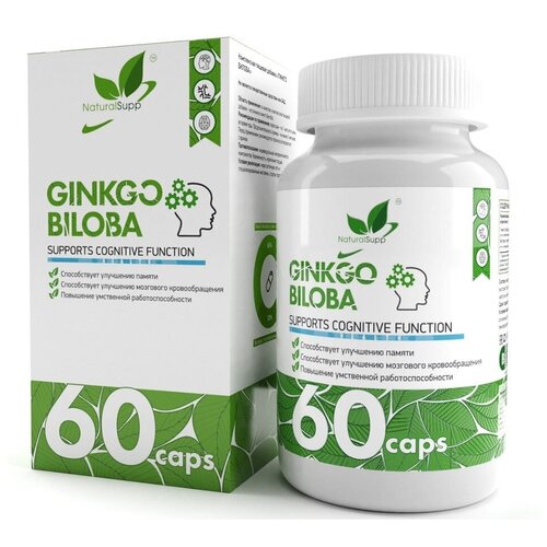  NaturalSupp Ginkgo Biloba, 60 ., ,    673 