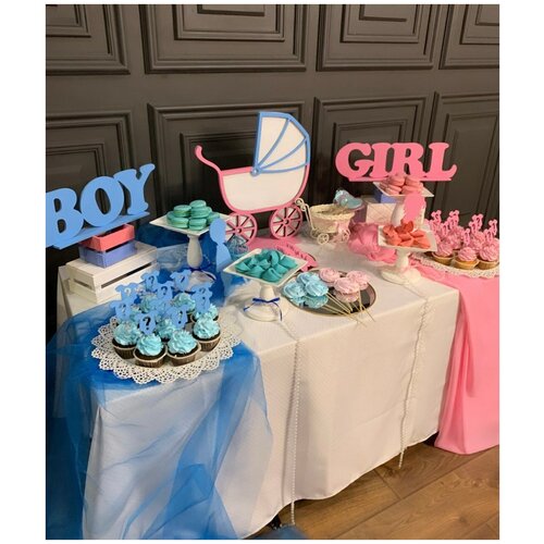    BOY or GIRL gender party,  ,     ,    500