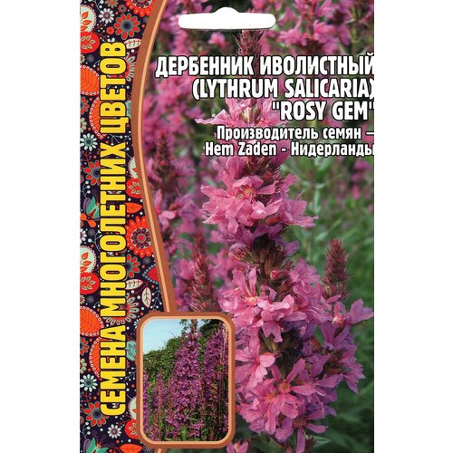   / Lythrum salicaria ROSY GEM,  ( 1 : 0,05  ) 229