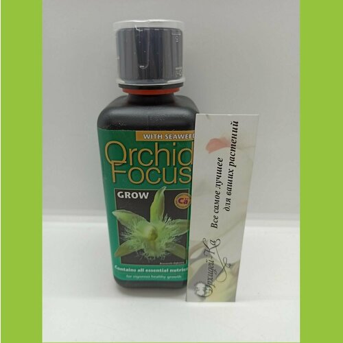    Orchid Focus Grow  300, ,    1390 