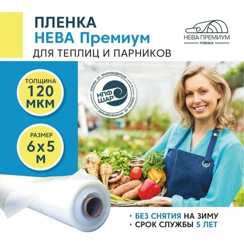 ������ ��� ������ � �������� ���� ������� 120 ���, 6�5 �, ����, ������ ������ �� 2580 ���
