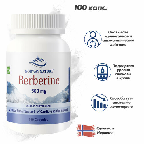 Norway Nature, Berberine, �������� 500 ��, 100 ������ / �������� �����������, ������ ������� � �������, ����, ������ ������ �� 8450 ���