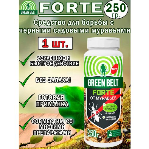      Forte 250, 1 , ,    570 