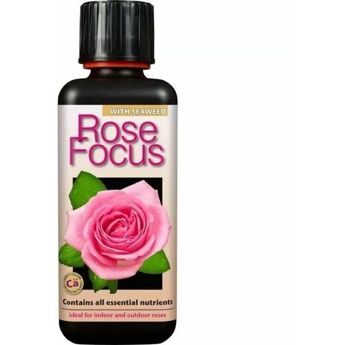   , Rose Focus 300     , ,    1330 