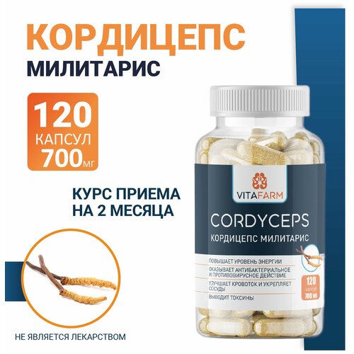   (Cordyceps militaris)  120 / 700  1500