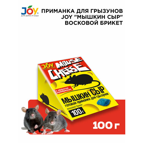 ������ ��� JOY �������� ������ 100�, ����, ������ ������ �� 240 ���
