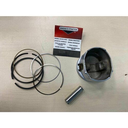    795131 Briggs&Stratton 5256