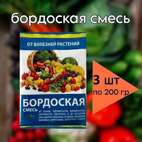 ��������� �����, ����, ������ ������ �� 450 ���