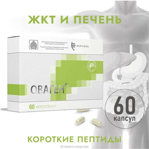 ������ ����., 0.2 �, 60 ��., 1 ��., ����, ������ ������ �� 5088 ���