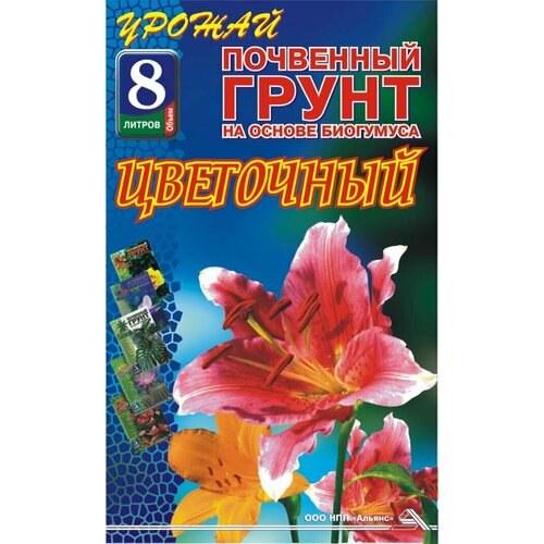 ����� ���������, ����, ������ ������ �� 255 ���