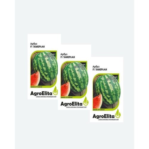    F1, 5, AgroElita, Nunhems(3 ) 564