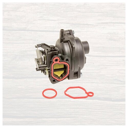    Briggs&Stratton 799584 1800