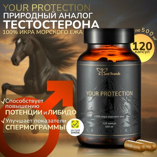 YOUR PROTECTION - 100%   .    . (120 ) 13000