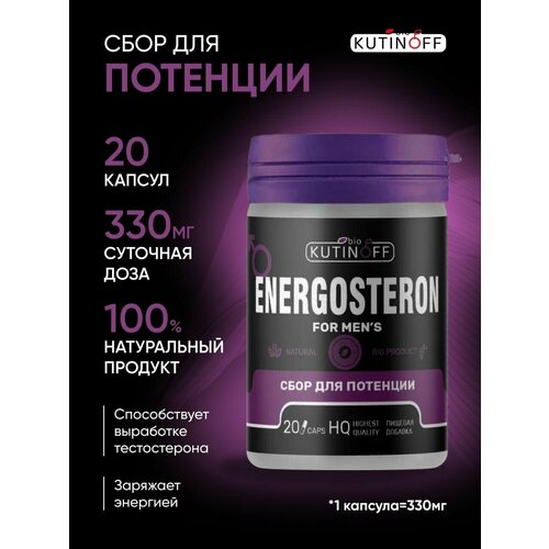     ENERGOSTERON    ,  ,    , 20  1200