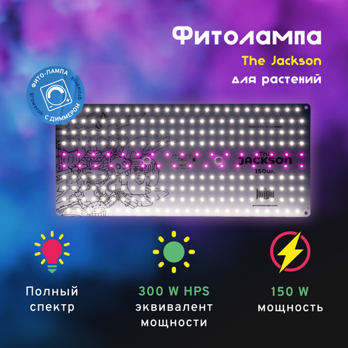 LED  The Jackson 150W  , ,    17900 